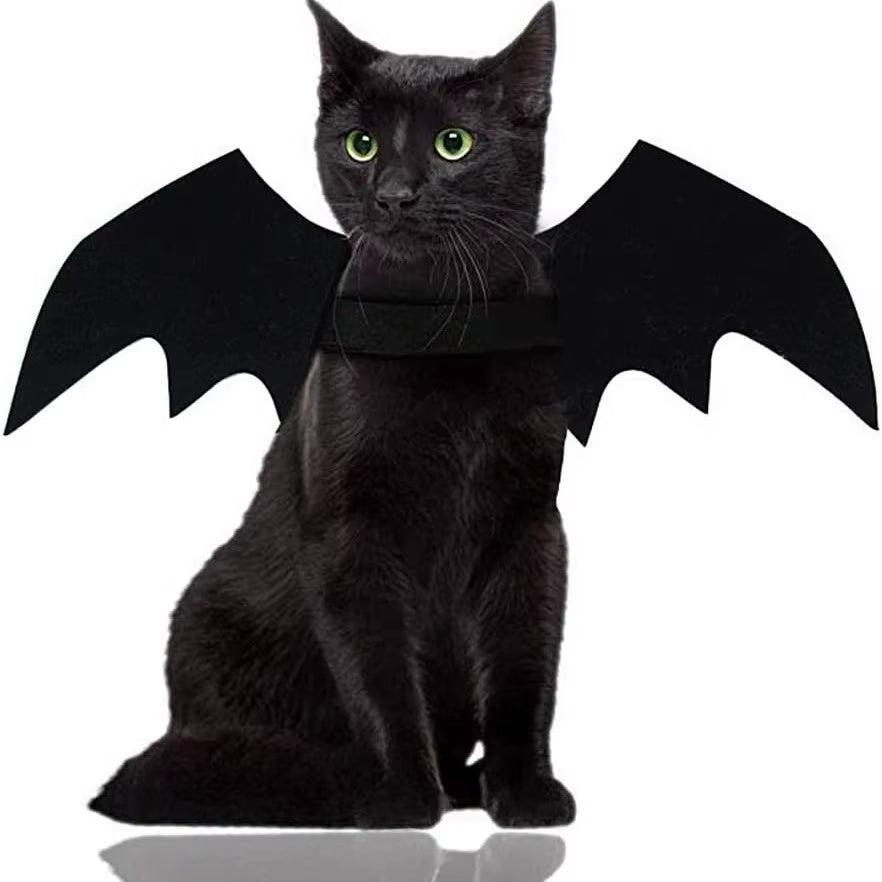 Cat Bat Wings Costume