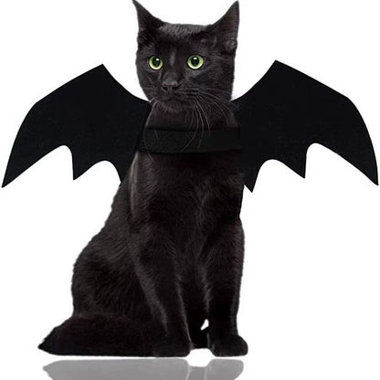 Cat Bat Wings Costume