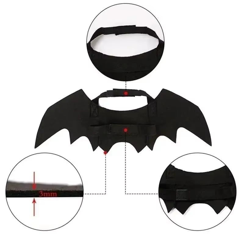 Cat Bat Wings Costume