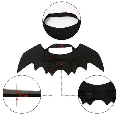 Cat Bat Wings Costume